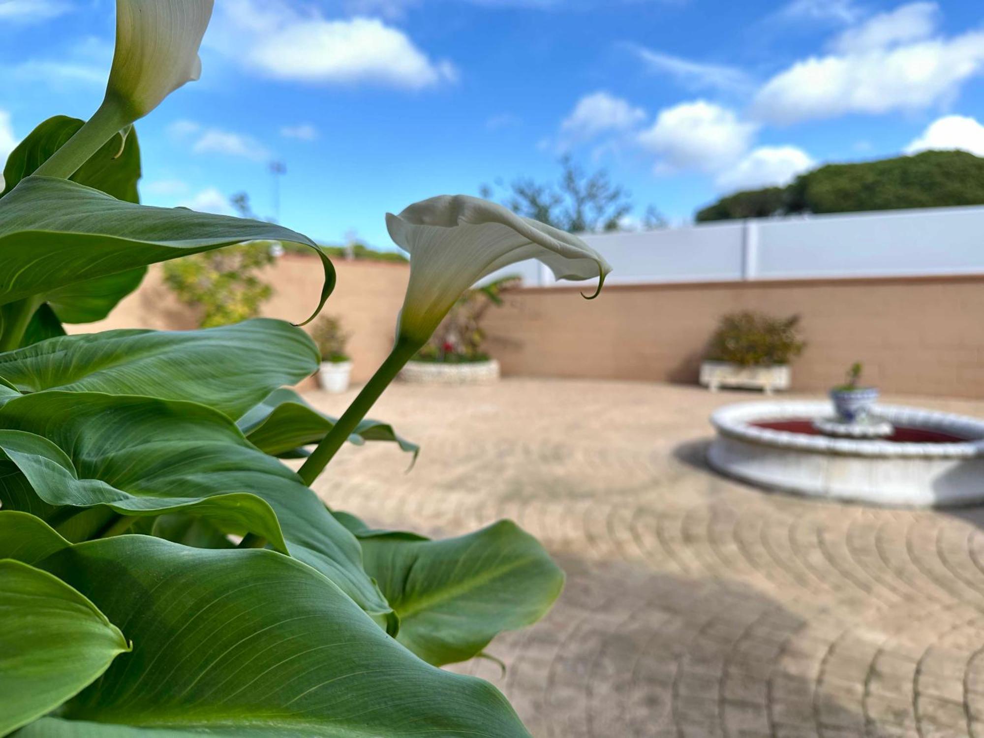Chalet Aguacate Chiclana de la Frontera Exterior photo